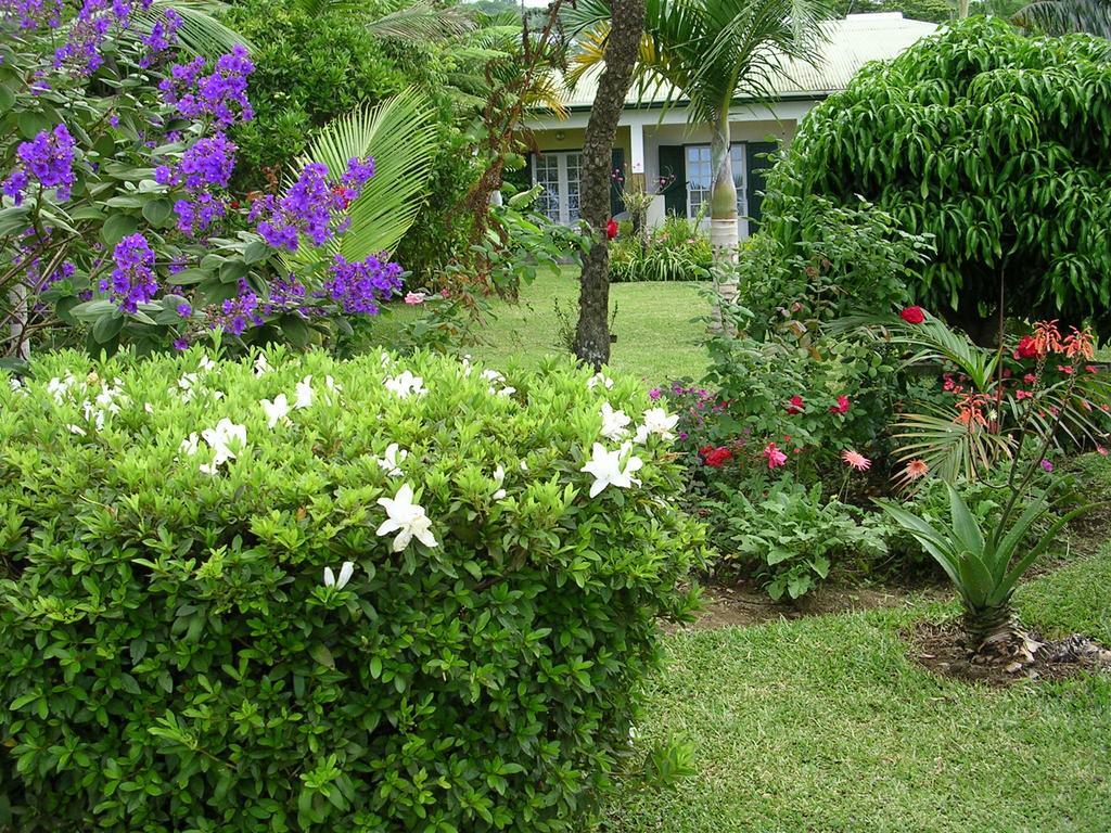 Chez Mamie Bed & Breakfast Les Avirons Ngoại thất bức ảnh
