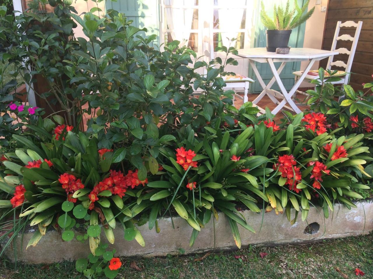 Chez Mamie Bed & Breakfast Les Avirons Ngoại thất bức ảnh